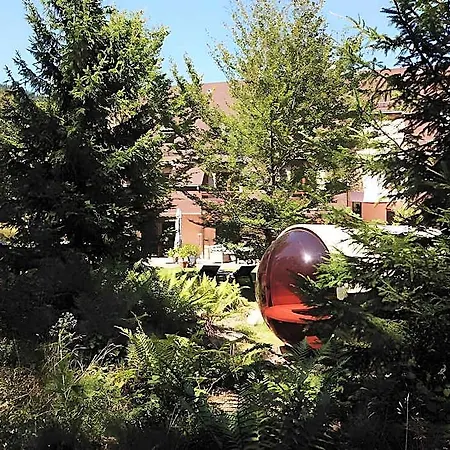 Cote Foret Hotel 2*